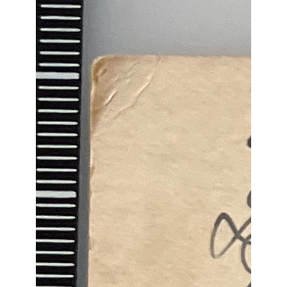 Antique 1915 Litho Ephemera Postcard Scene On Pine Lake With Twins Boys Fishing - Picture 9 of 10